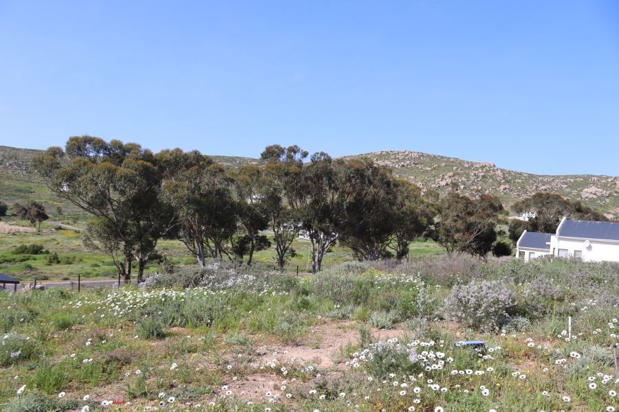 0 Bedroom Property for Sale in Britannica Heights Western Cape